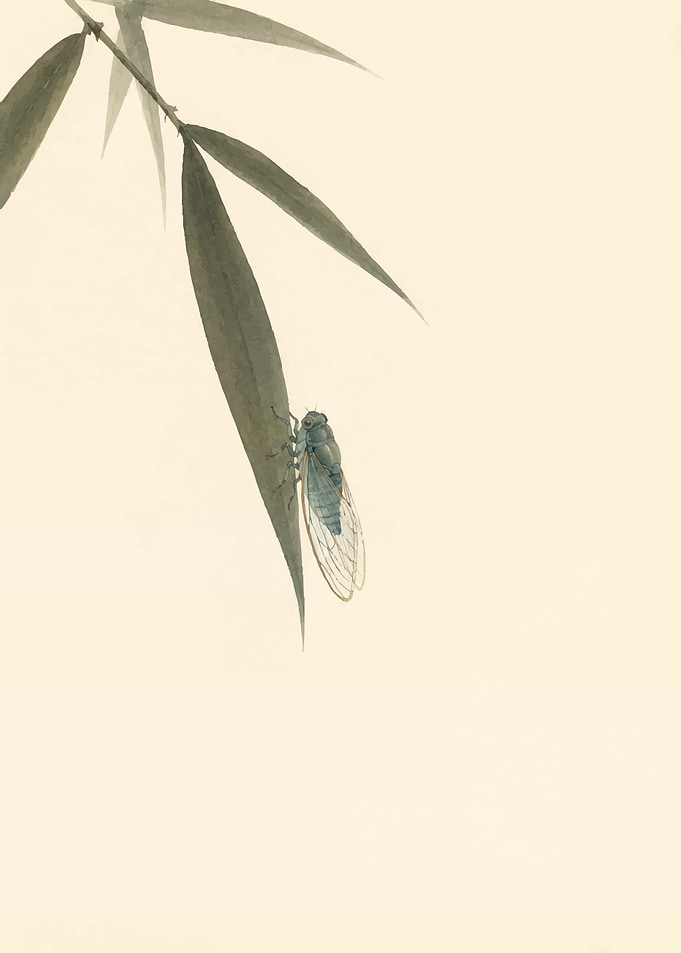 Cicada on Bamboo Leaf Painting
