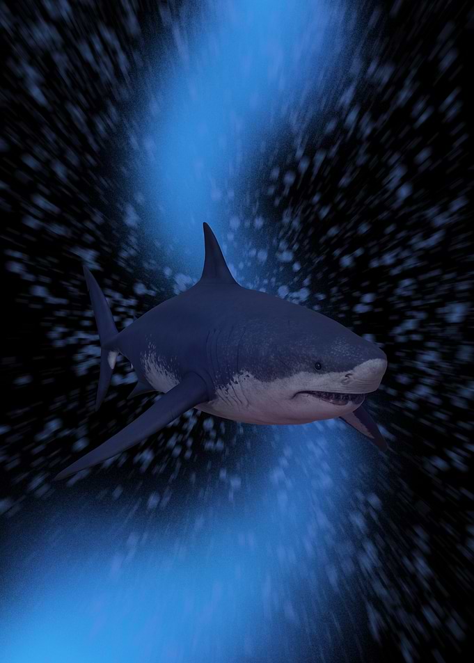Great White Shark in Deep Water