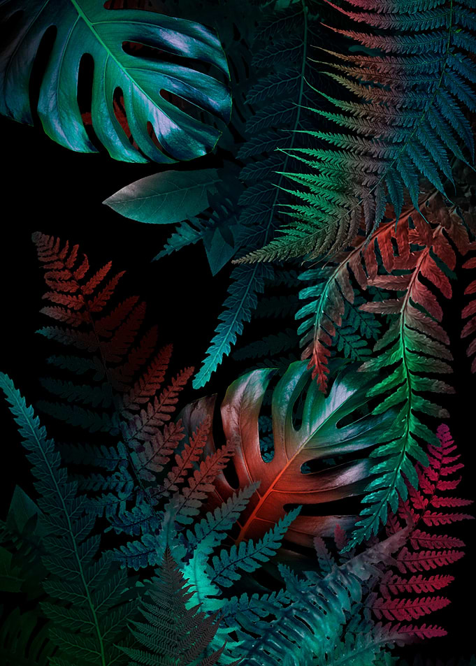 Neon Tropical Leaves Botanical Background