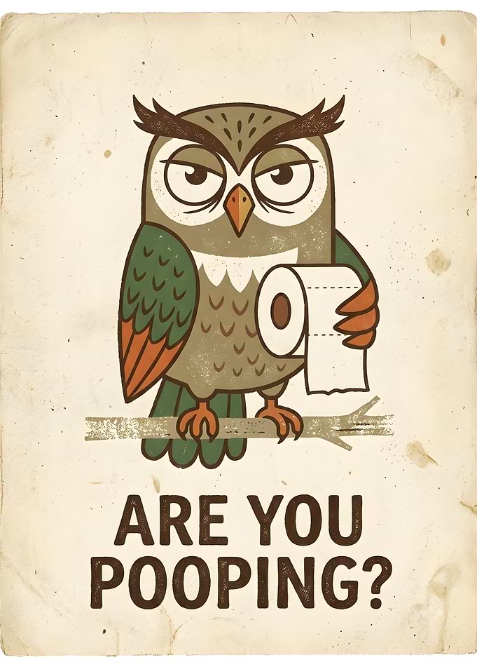 Funny Owl Toilet Paper Poster