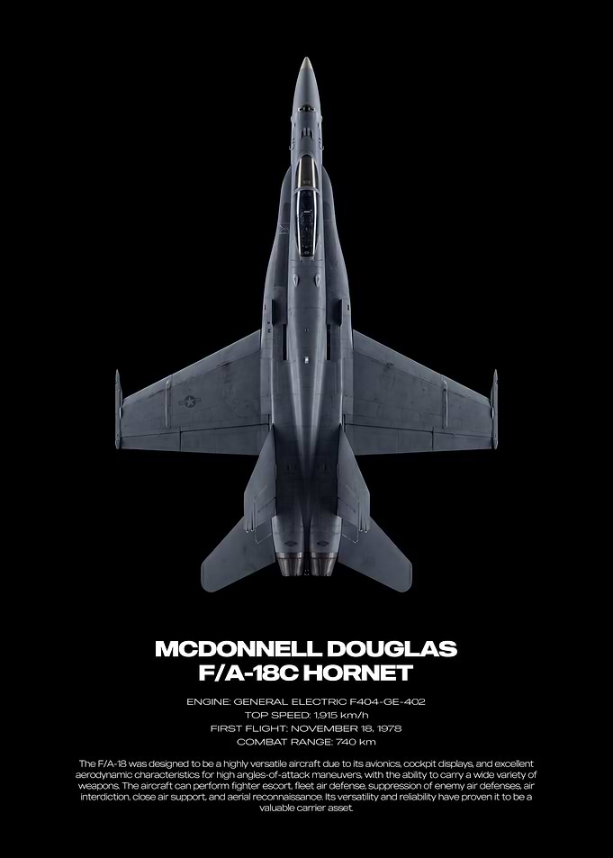 McDonnell Douglas F/A-18C Hornet Poster