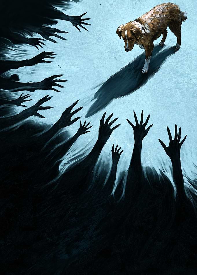 Dog Facing Shadowy Hands