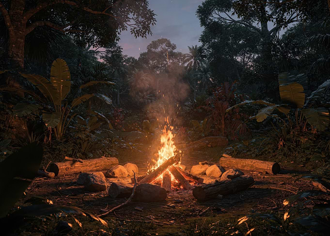 Campfire in a Lush Tropical Jungle
