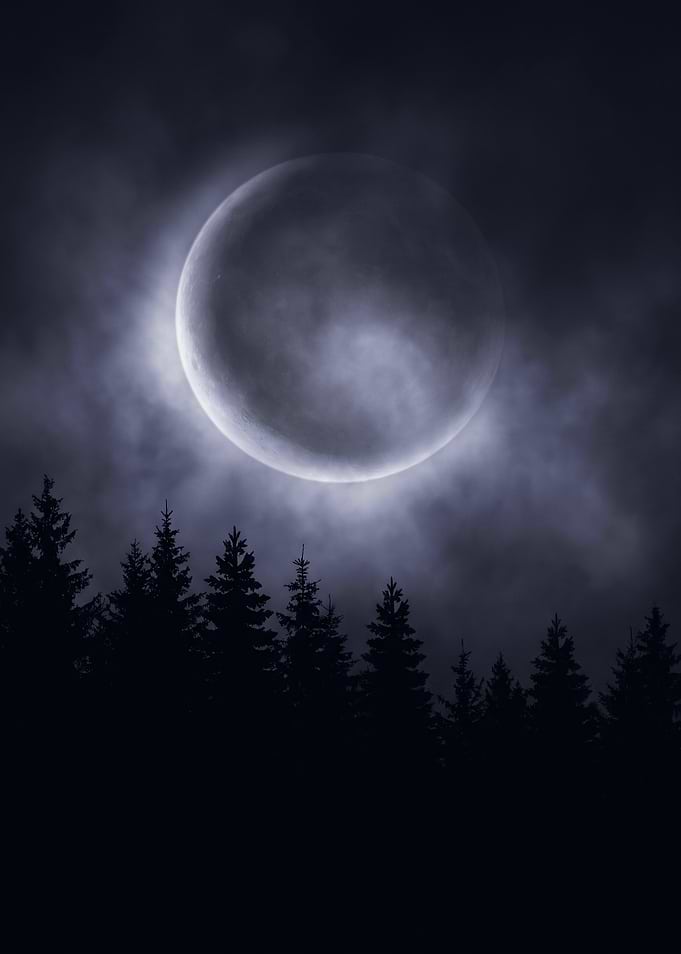Full Moon Over Dark Pine Forest