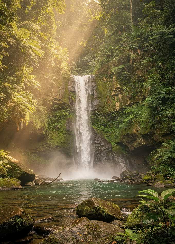 Sunlit Waterfall in Lush Rainforest