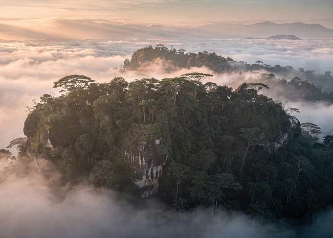 Misty Tropical Rainforest Mountain Peaks