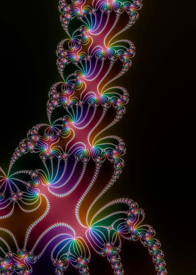Decandrous - Newton Fractal