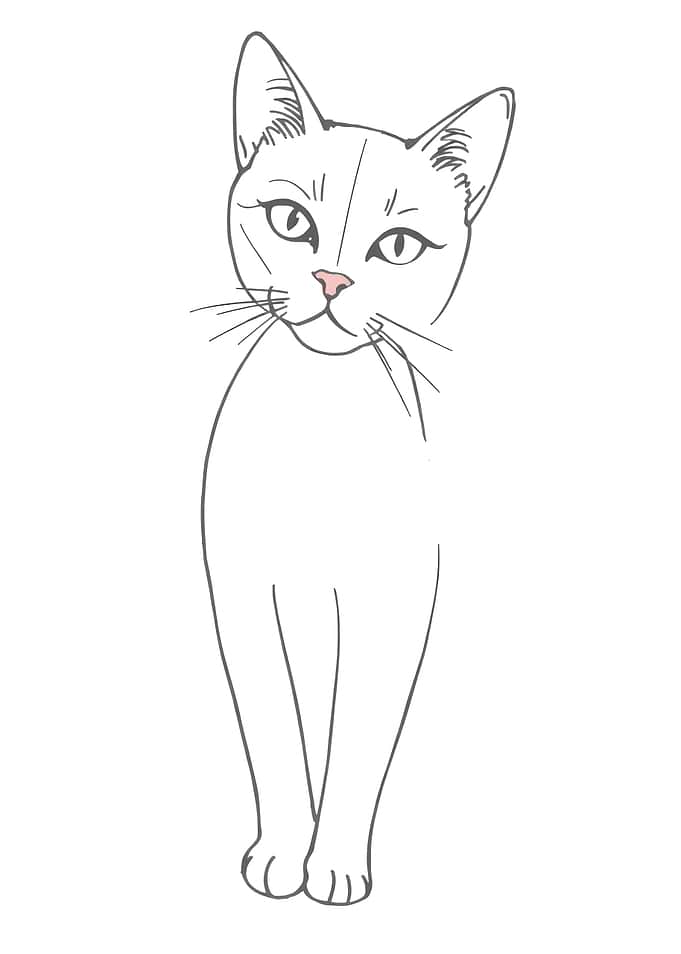 Minimalist Line Art Cat Illustration