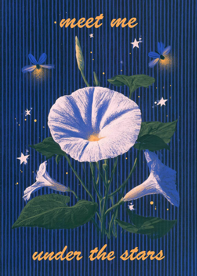 Meet Me Under the Stars Floral