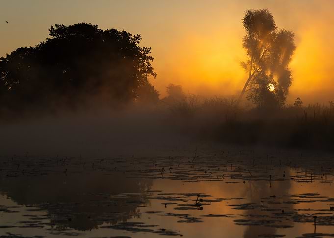 Misty Sunrise Over a Calm Lake