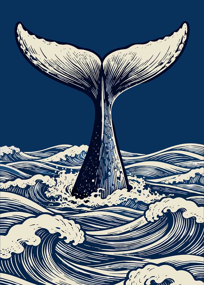 Whale Tail in Rough Ocean Waves