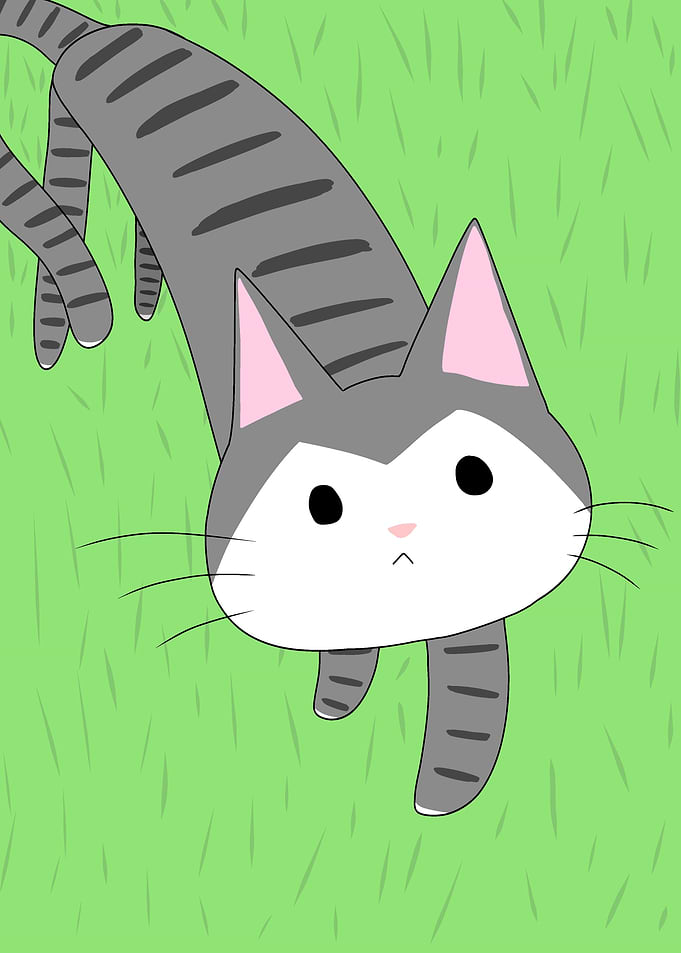 Cute Long Gray Tabby Cat Illustration