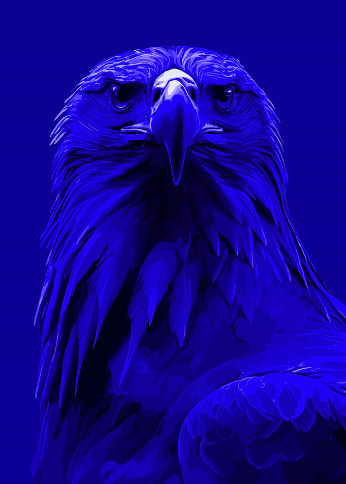 Monochromatic Blue Eagle Portrait