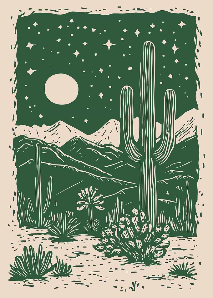 Desert Night Landscape Illustration
