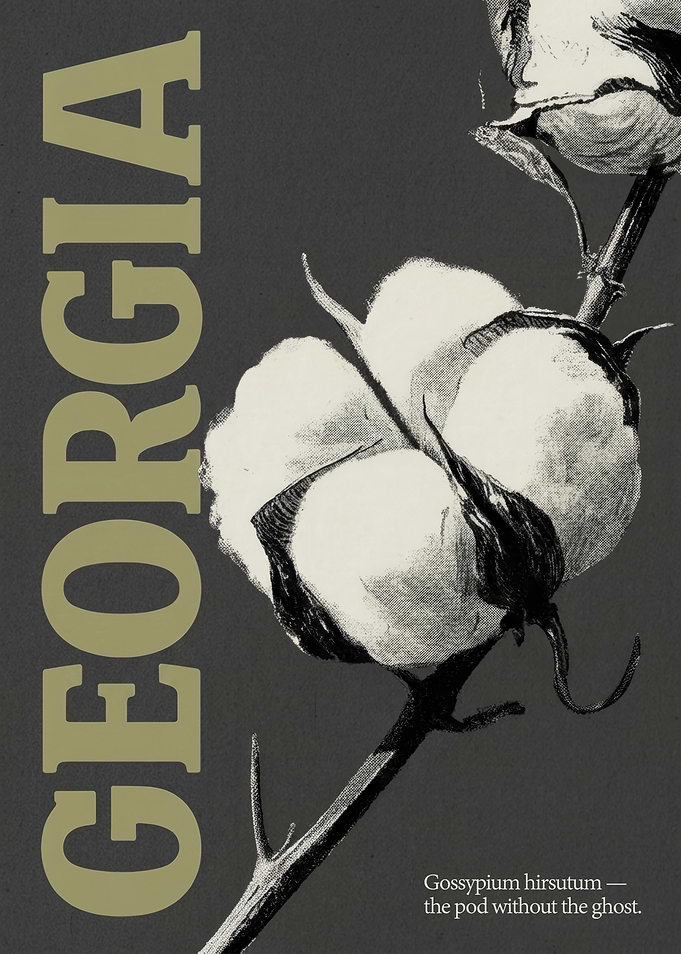 Georgia Cotton Botanical Poster