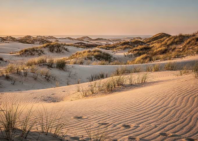 Golden Hour Sand Dunes Landscape