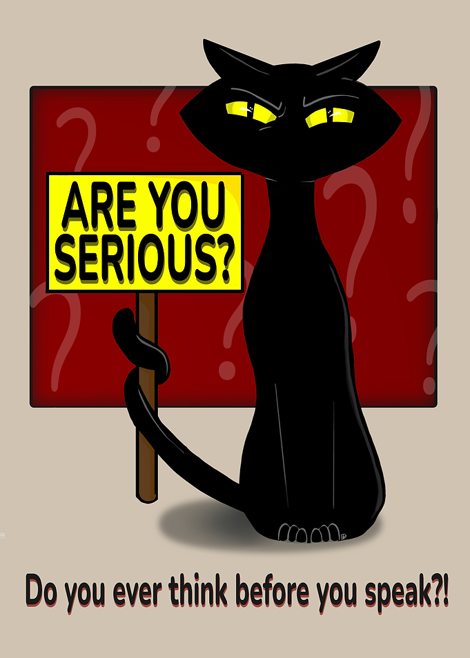 Bad Boogie: The Black Cat