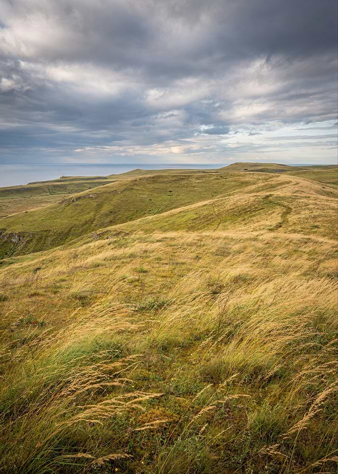 Rolling Grassy Hills Under Cloudy Sky