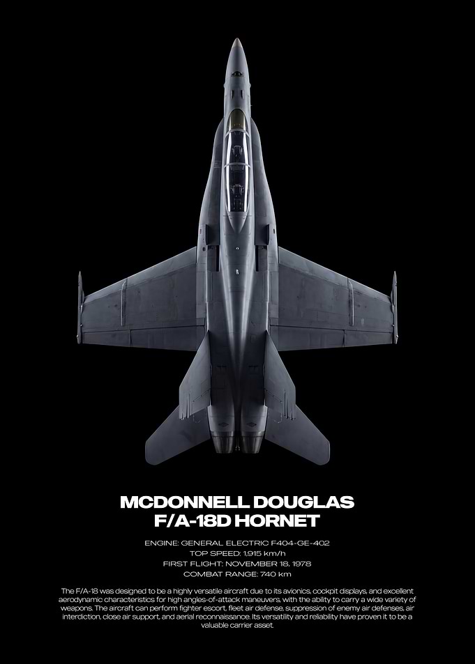 McDonnell Douglas F/A-18D Hornet Poster