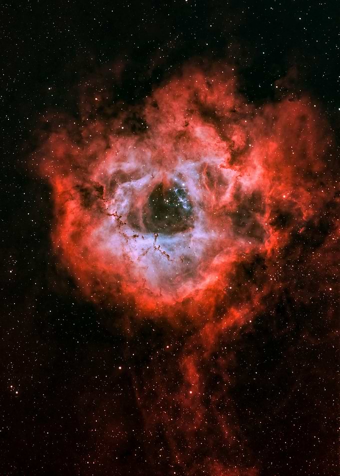 The Rosette Nebula in Deep Space