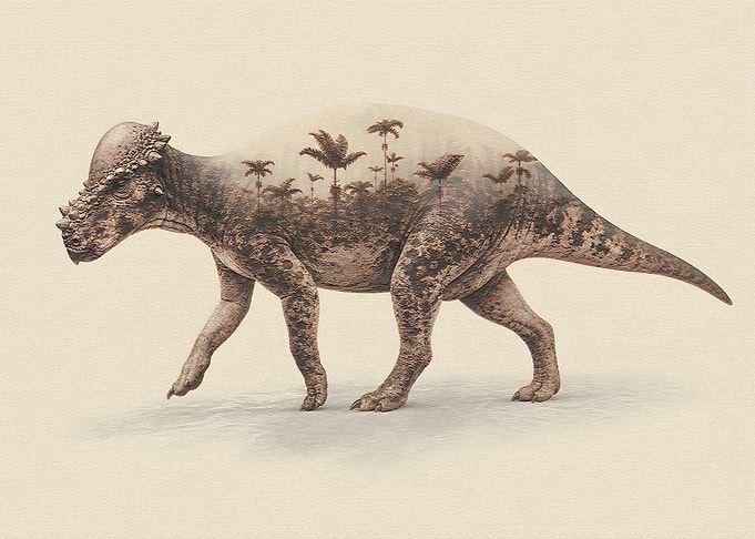 Double Exposure Pachycephalosaurus Dinosaur Art