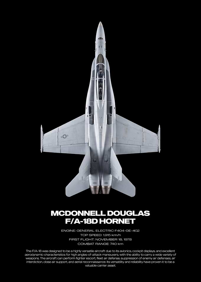 McDonnell Douglas F/A-18D Hornet Poster