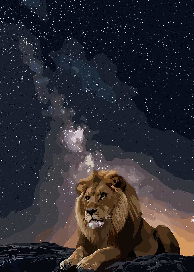 Majestic Lion Under Starry Night Sky