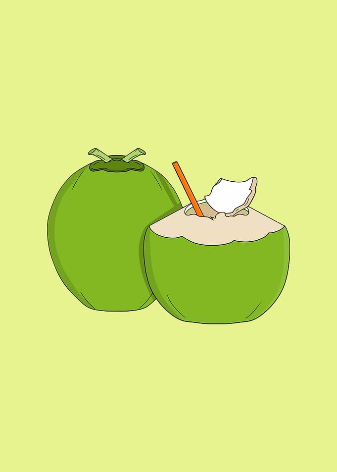 Fresh Green Coconut Drink Illustration