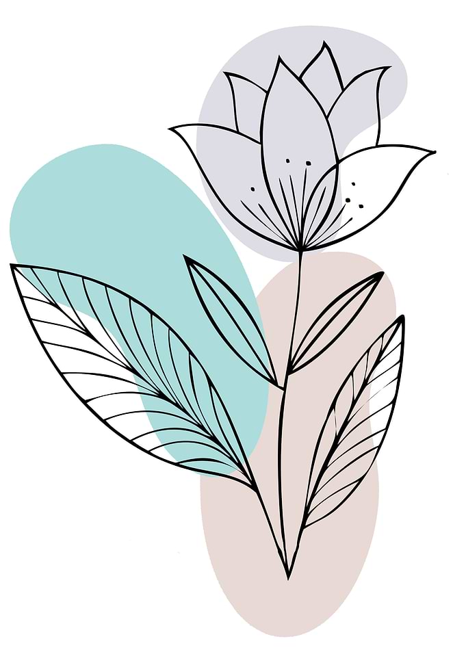 Minimalist Line Art Flower Illustration