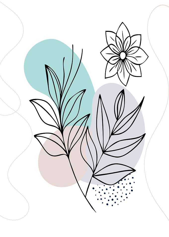 Minimalist Botanical Line Art Illustration