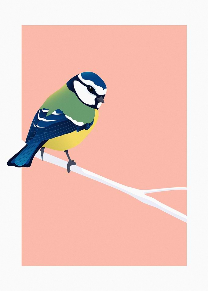 Blue Tit on a Branch