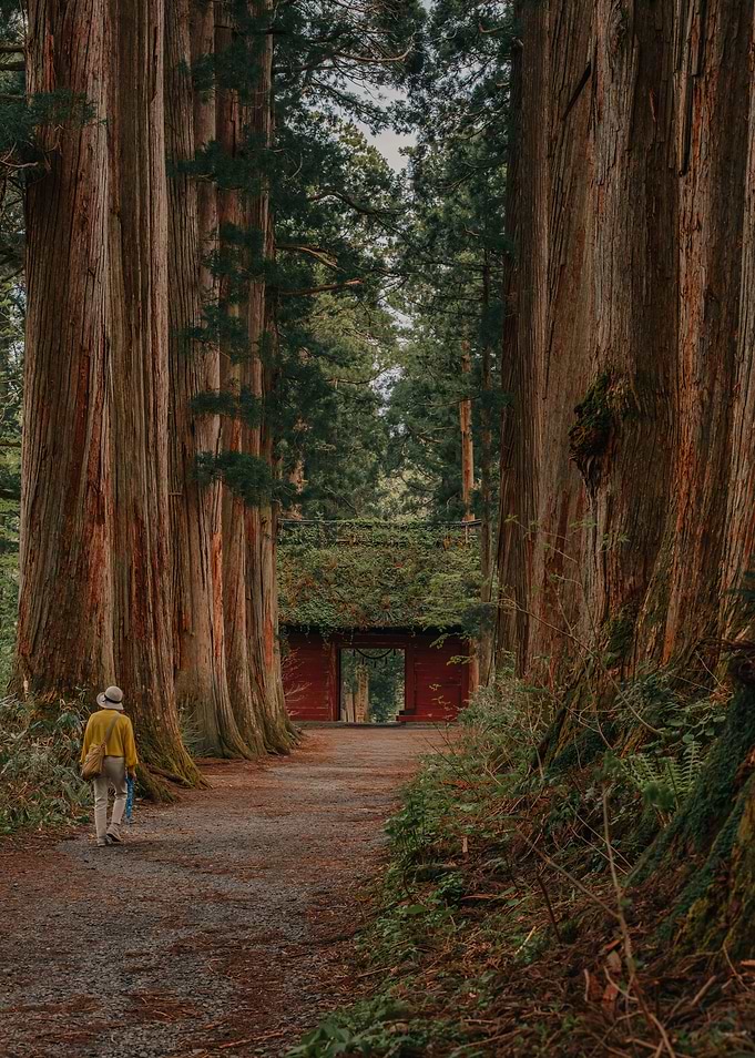 Togakushi Forest Shrine in Nagano, Japan
