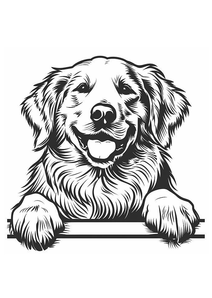 Black and White Golden Retriever Illustration