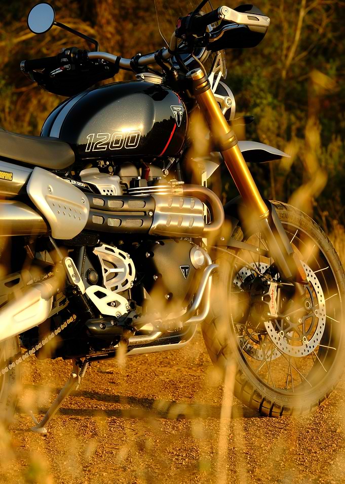 Triumph Scrambler 1200 Motorcycle – Golden Hour Adventure Wall Art