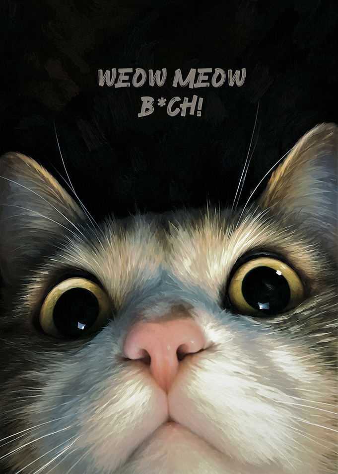 Funny Cat Close-up Portrait