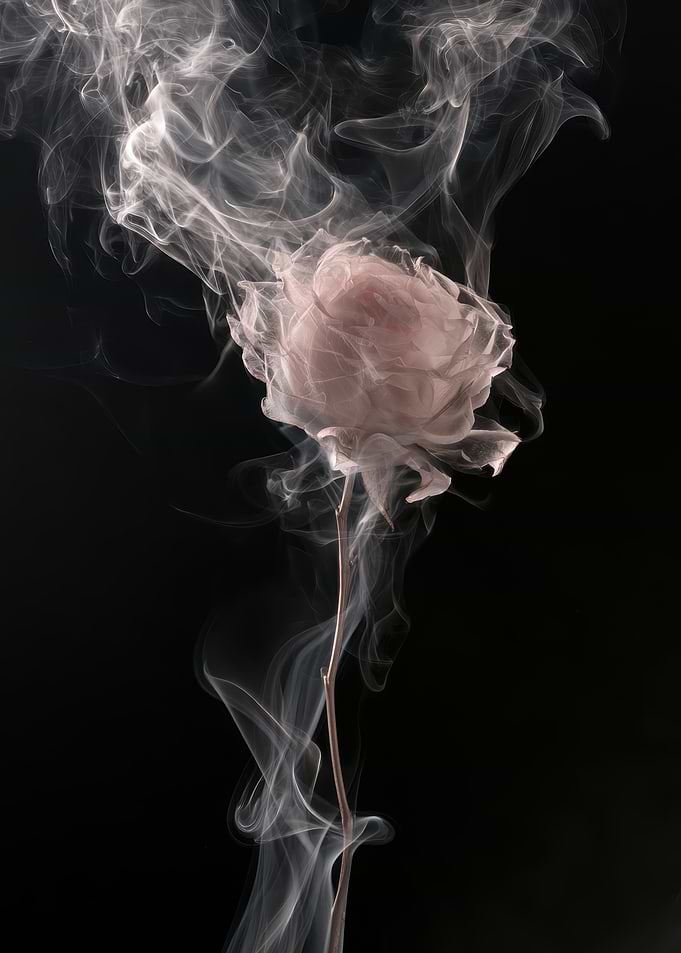 Ethereal Rose Formed From Smoke