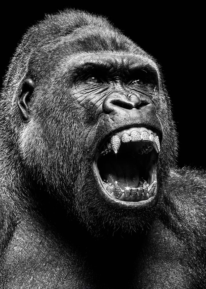 Gorilla with Diamond Grillz