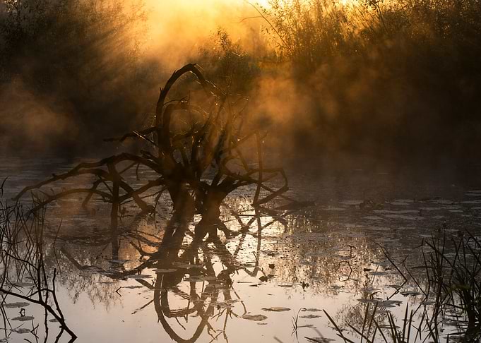 Misty Sunrise Over a Still Pond