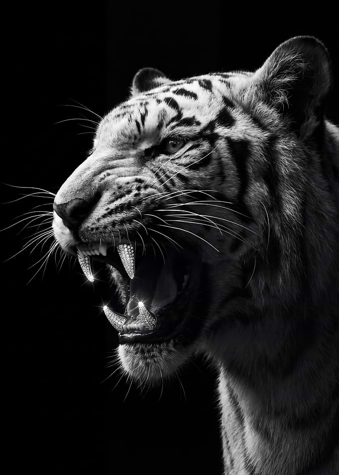 Diamond-Toothed Tiger Portrait