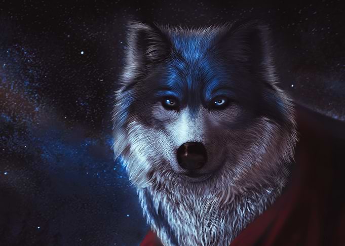 Mystical Wolf in Starry Night