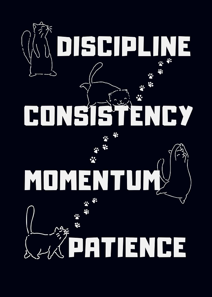 Inspirational Cat Motivational Poster