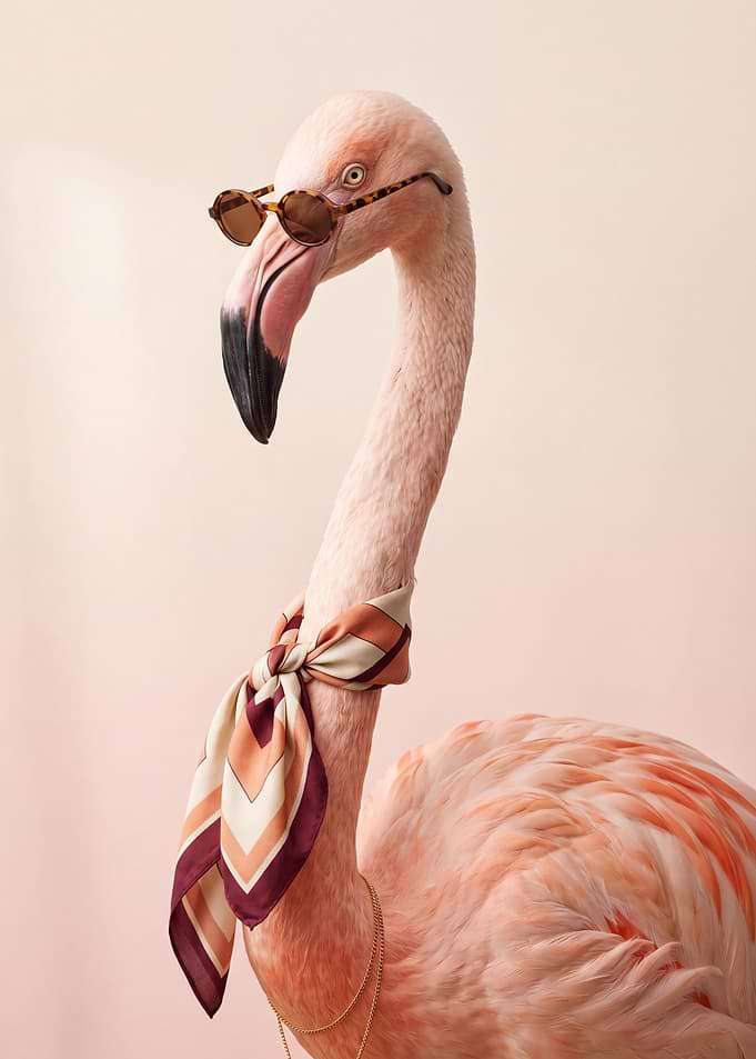 Stylish Flamingo with Scarf and Sunglasses