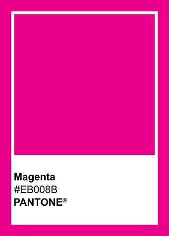 Pantone Magenta Color Swatch