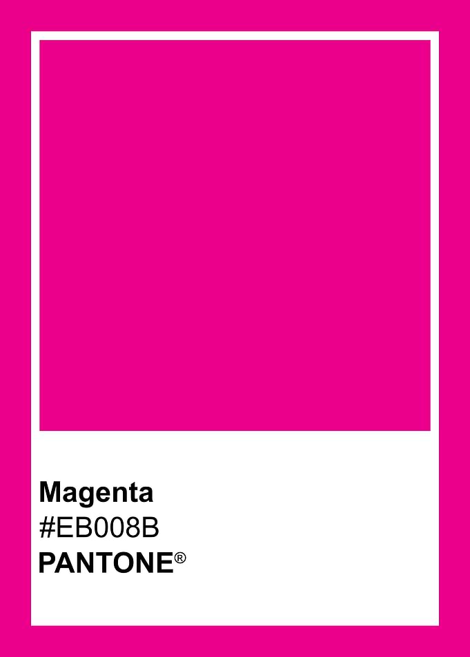 Pantone Magenta Color Swatch