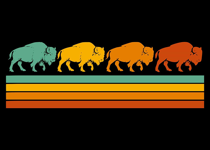 Retro Sunset Bison Graphic