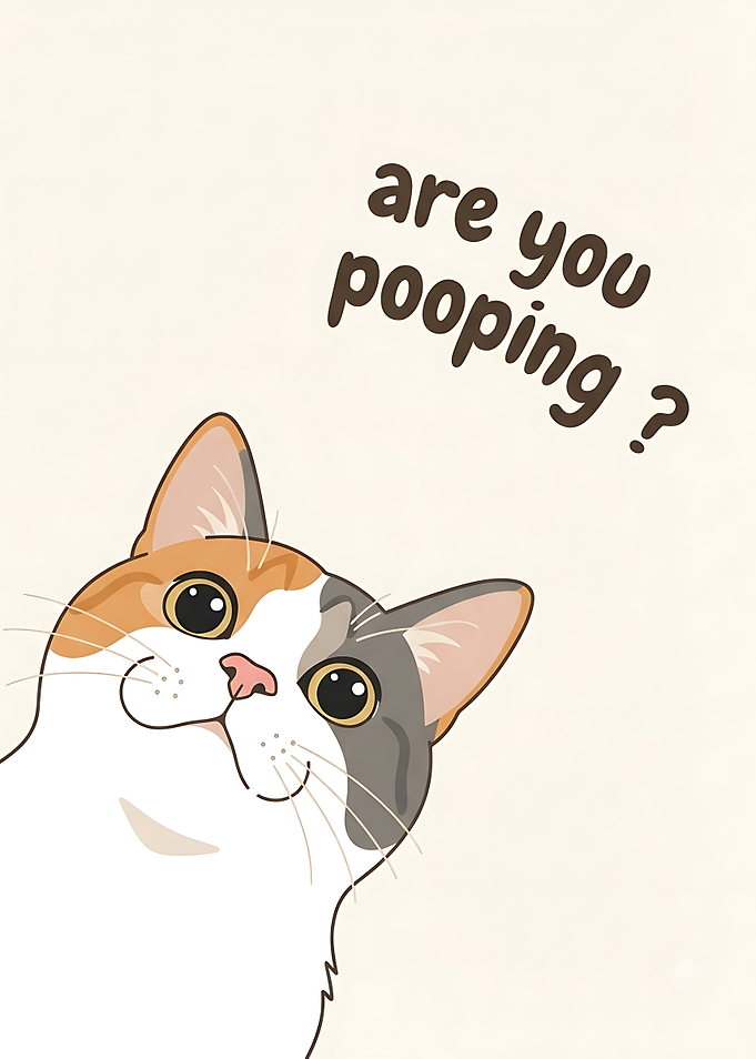 Funny Calico Cat Bathroom Poster