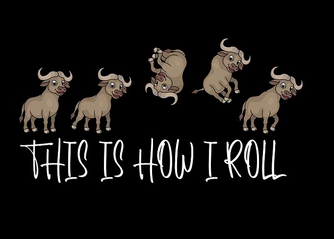 This Is How I Roll Buffalo