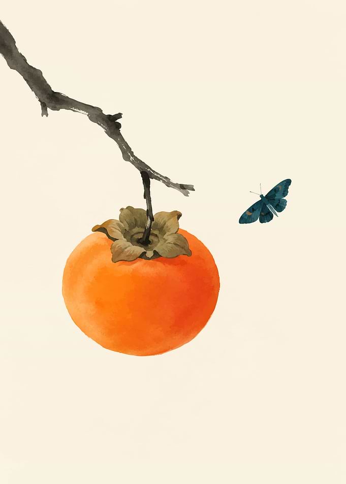 Persimmon Fruit and Butterfly Illustration