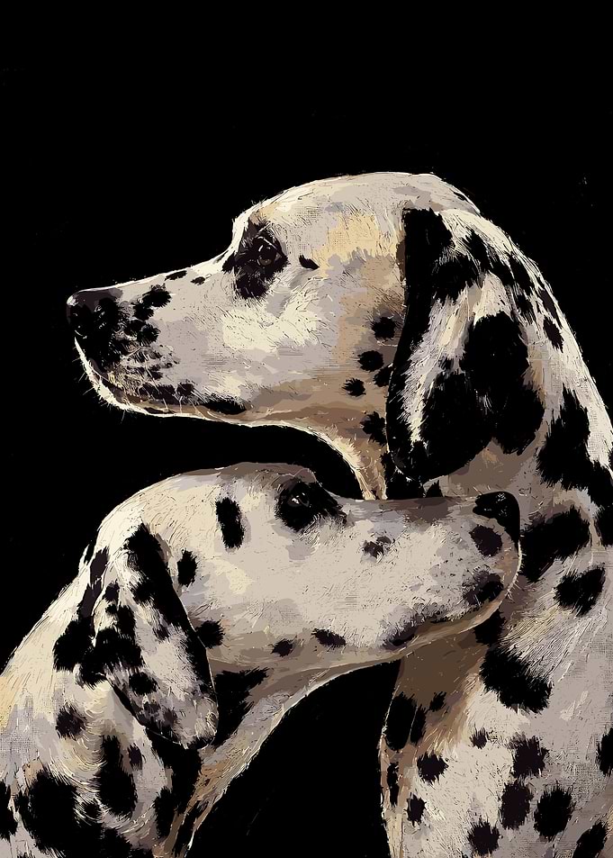 Two Dalmatian Dogs Portrait