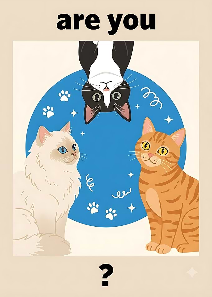Cute Cats Are You Poster